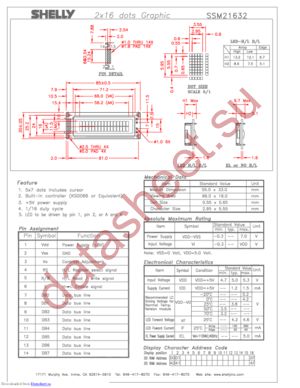 SSM21632 datasheet  