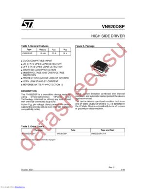 VN920DSP-E datasheet  