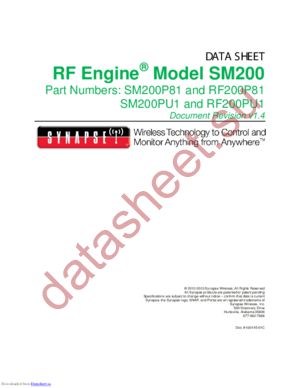RF200P81 datasheet  