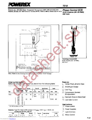 T510005004AQ datasheet  