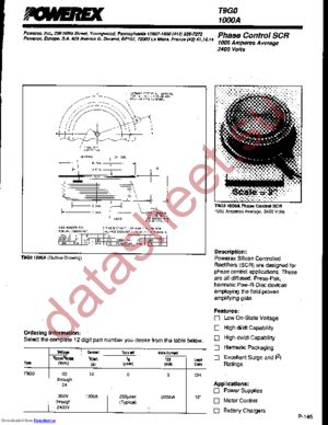 T9G0061003DH datasheet  