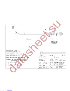 USP12837 datasheet  