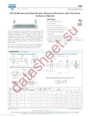 RW20117A101JB00 datasheet  