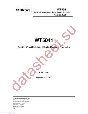 WT5041 datasheet  